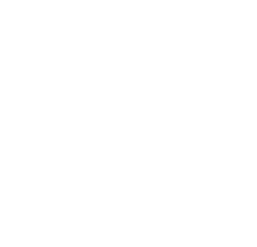 Custom Icon